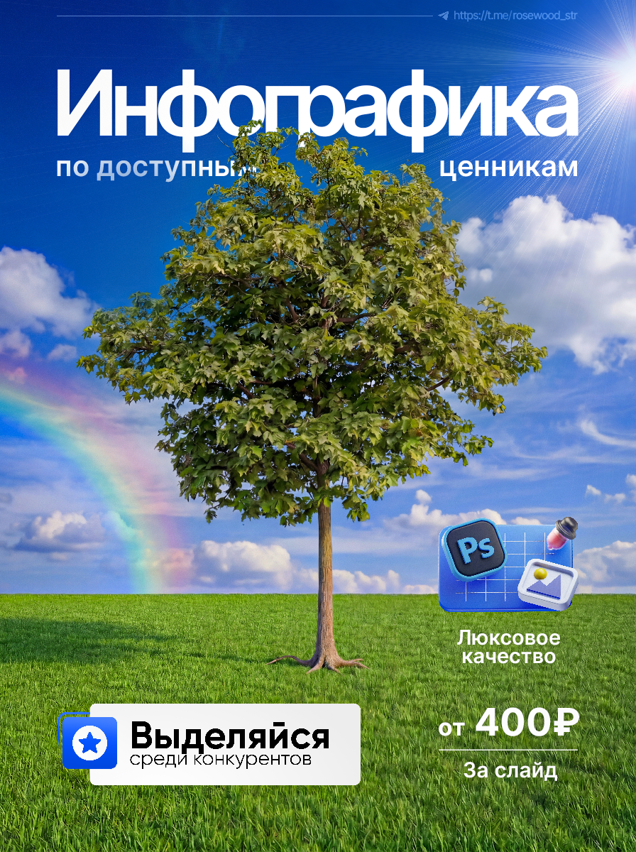 Работа 1 - Боксёрский шлем Everlast